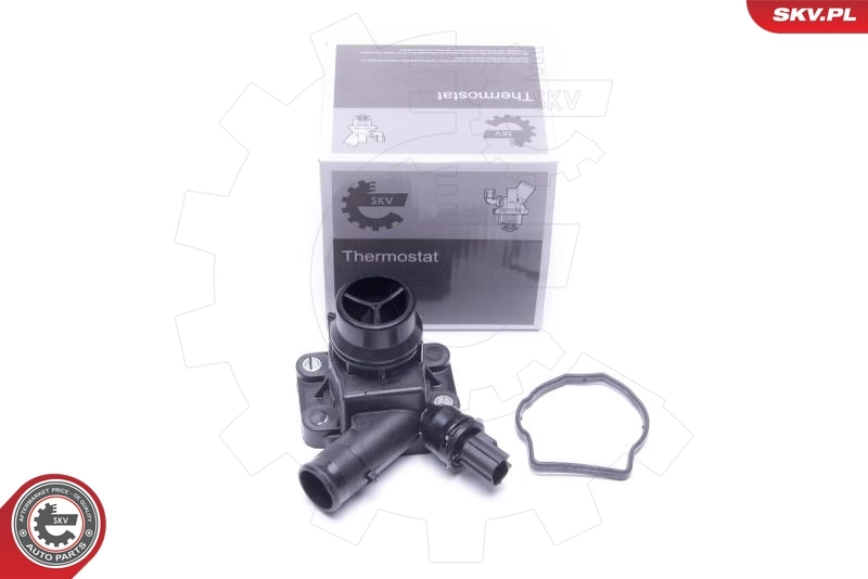 Thermostat, coolant
